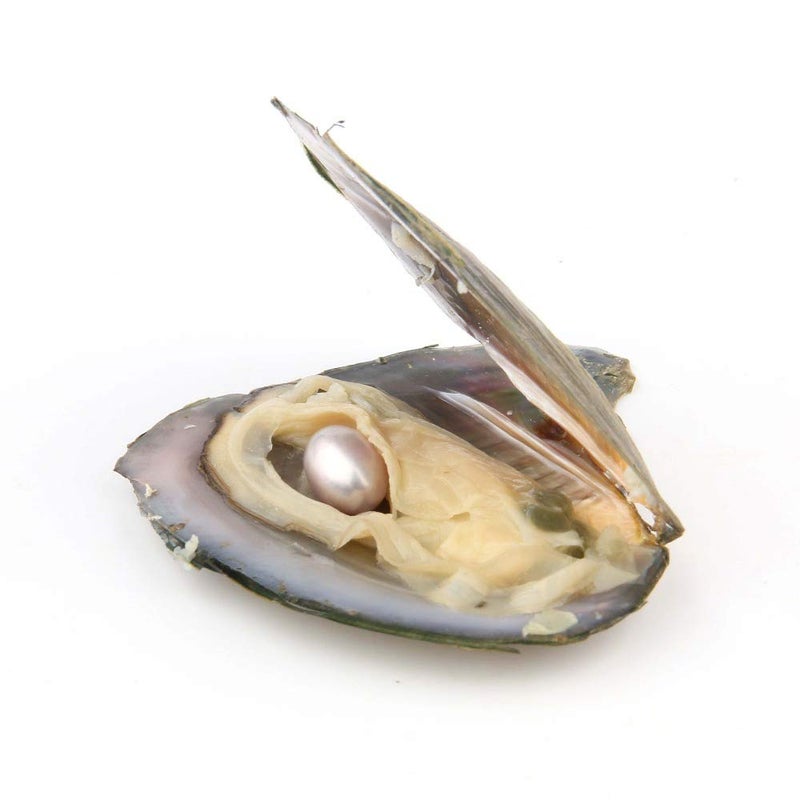 QSLLER 10PCS Freshwater Cultured Pearl Oyster with 7-8mm Oval Pearl(Inside 10pcs Random Colors Pearls) - Image 4